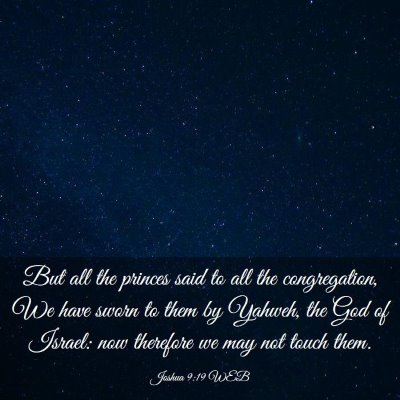 Picture 03 - Joshua 9:19 WEB - But all the princes said to all the congregation, - Bible Verse Picture