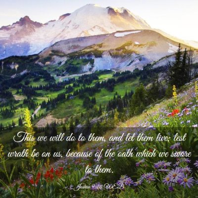 Picture 03 - Joshua 9:20 WEB - This we will do to them, and let them live; lest - Bible Verse Picture