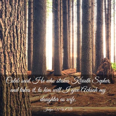 Picture 03 - Judges 1:12 WEB - Caleb said, He who strikes Kiriath Sepher, and - Bible Verse Picture