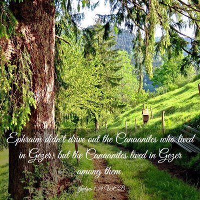 Picture 03 - Judges 1:29 WEB - Ephraim didn't drive out the Canaanites who lived - Bible Verse Picture