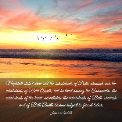 Picture 03 - Judges 1:33 WEB - Naphtali didn't drive out the inhabitants of - Bible Verse Picture
