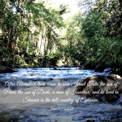 Picture 03 - Judges 10:1 WEB - After Abimelech there arose to save Israel Tola - Bible Verse Picture