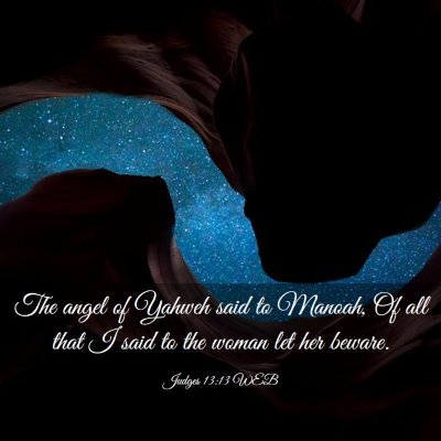 Picture 03 - Judges 13:13 WEB - The angel of Yahweh said to Manoah, Of all that I - Bible Verse Picture
