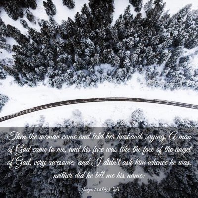 Picture 03 - Judges 13:6 WEB - Then the woman came and told her husband, saying, - Bible Verse Picture