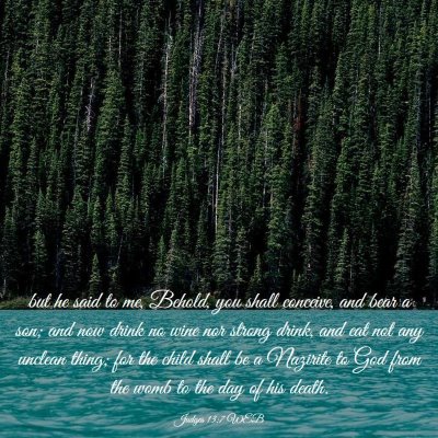 Picture 03 - Judges 13:7 WEB - but he said to me, Behold, you shall conceive, - Bible Verse Picture