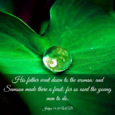 Picture 03 - Judges 14:10 WEB - His father went down to the woman: and Samson - Bible Verse Picture