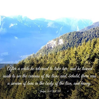 Picture 03 - Judges 14:8 WEB - After a while he returned to take her; and he - Bible Verse Picture