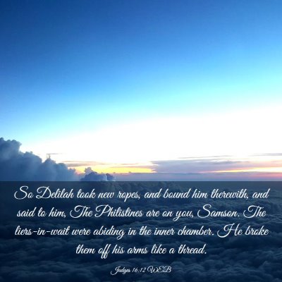 Picture 03 - Judges 16:12 WEB - So Delilah took new ropes, and bound him - Bible Verse Picture