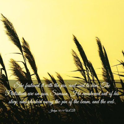 Picture 03 - Judges 16:14 WEB - She fastened it with the pin, and said to him, - Bible Verse Picture
