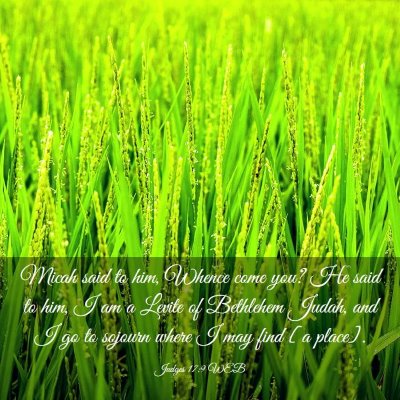 Picture 03 - Judges 17:9 WEB - Micah said to him, Whence come you? He said to - Bible Verse Picture