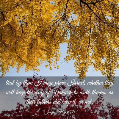 Picture 03 - Judges 2:22 WEB - that by them I may prove Israel, whether they - Bible Verse Picture