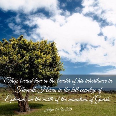 Picture 03 - Judges 2:9 WEB - They buried him in the border of his inheritance - Bible Verse Picture