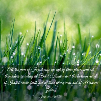 Picture 03 - Judges 20:33 WEB - All the men of Israel rose up out of their place, - Bible Verse Picture