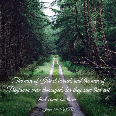 Picture 03 - Judges 20:41 WEB - The men of Israel turned, and the men of Benjamin - Bible Verse Picture