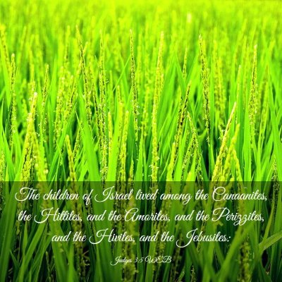 Picture 03 - Judges 3:5 WEB - The children of Israel lived among the - Bible Verse Picture