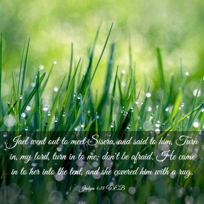 Picture 03 - Judges 4:18 WEB - Jael went out to meet Sisera, and said to him, - Bible Verse Picture
