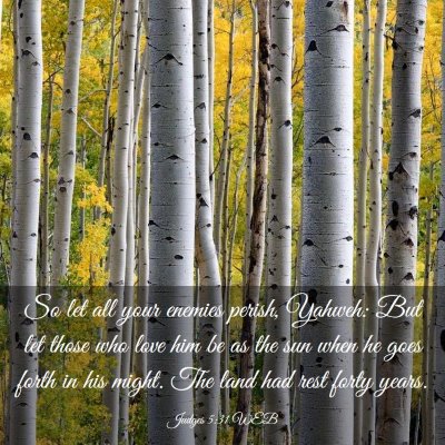Picture 03 - Judges 5:31 WEB - So let all your enemies perish, Yahweh: But let - Bible Verse Picture