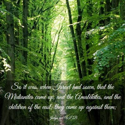Picture 03 - Judges 6:3 WEB - So it was, when Israel had sown, that the - Bible Verse Picture