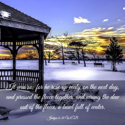 Picture 03 - Judges 6:38 WEB - It was so; for he rose up early on the next day, - Bible Verse Picture