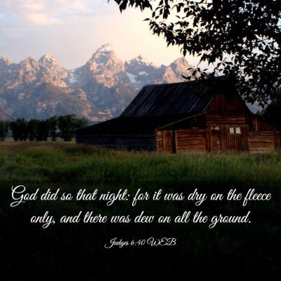 Picture 03 - Judges 6:40 WEB - God did so that night: for it was dry on the - Bible Verse Picture