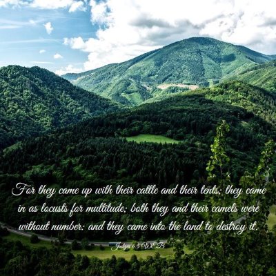 Picture 03 - Judges 6:5 WEB - For they came up with their cattle and their - Bible Verse Picture