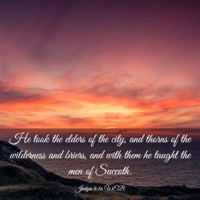 Picture 03 - Judges 8:16 WEB - He took the elders of the city, and thorns of the - Bible Verse Picture