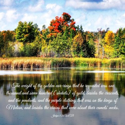 Picture 03 - Judges 8:26 WEB - The weight of the golden ear-rings that he - Bible Verse Picture