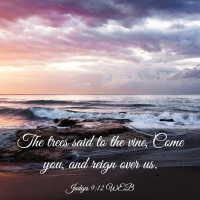 Picture 03 - Judges 9:12 WEB - The trees said to the vine, Come you, and reign - Bible Verse Picture