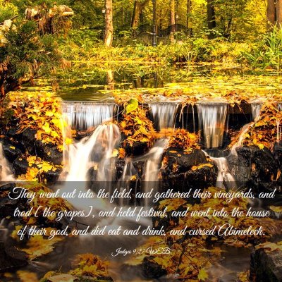 Picture 03 - Judges 9:27 WEB - They went out into the field, and gathered their - Bible Verse Picture