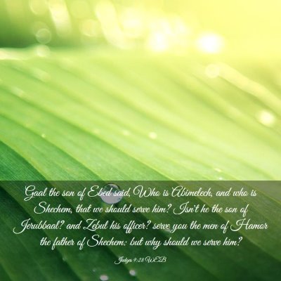 Picture 03 - Judges 9:28 WEB - Gaal the son of Ebed said, Who is Abimelech, and - Bible Verse Picture