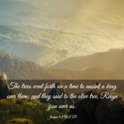 Picture 03 - Judges 9:8 WEB - The trees went forth on a time to anoint a king - Bible Verse Picture