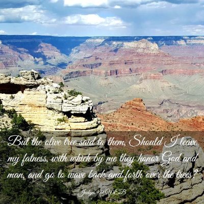 Picture 03 - Judges 9:9 WEB - But the olive tree said to them, Should I leave - Bible Verse Picture