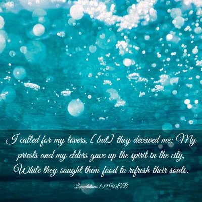 Picture 03 - Lamentations 1:19 WEB - I called for my lovers, [but] they deceived me: - Bible Verse Picture