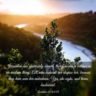 Picture 03 - Lamentations 1:8 WEB - Jerusalem has grievously sinned; therefore she is - Bible Verse Picture