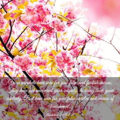 Picture 03 - Lamentations 2:14 WEB - Your prophets have seen for you false and foolish - Bible Verse Picture