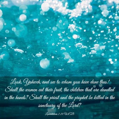 Picture 03 - Lamentations 2:20 WEB - Look, Yahweh, and see to whom you have done thus! - Bible Verse Picture