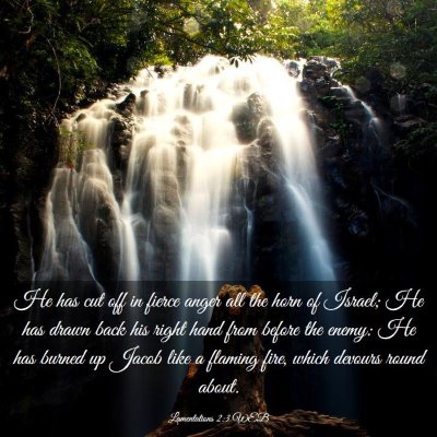 Picture 03 - Lamentations 2:3 WEB - He has cut off in fierce anger all the horn of - Bible Verse Picture