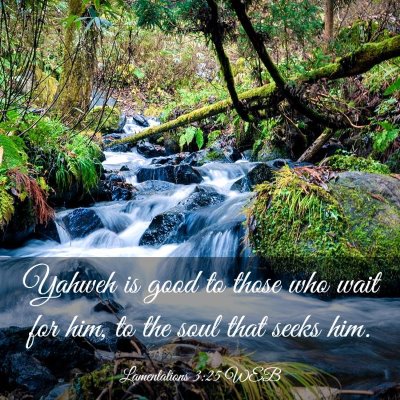 Picture 03 - Lamentations 3:25 WEB - Yahweh is good to those who wait for him, to the - Bible Verse Picture