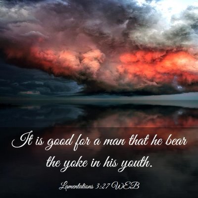 Picture 03 - Lamentations 3:27 WEB - It is good for a man that he bear the yoke in his - Bible Verse Picture