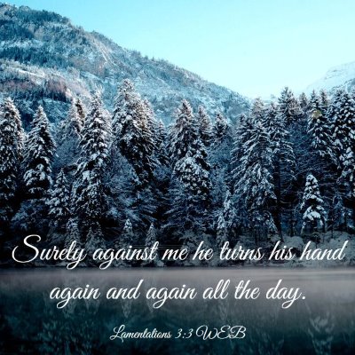 Picture 03 - Lamentations 3:3 WEB - Surely against me he turns his hand again and - Bible Verse Picture