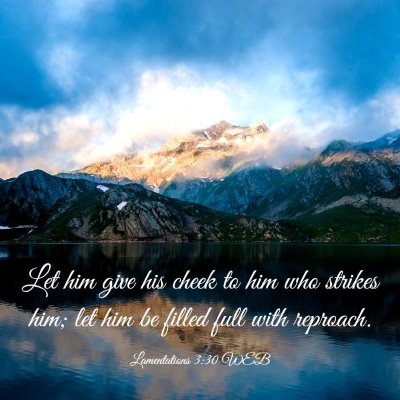 Picture 03 - Lamentations 3:30 WEB - Let him give his cheek to him who strikes him; - Bible Verse Picture