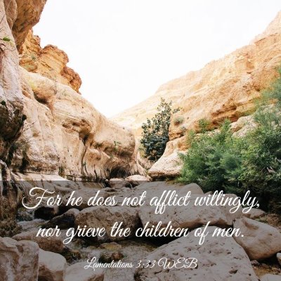 Picture 03 - Lamentations 3:33 WEB - For he does not afflict willingly, nor grieve the - Bible Verse Picture