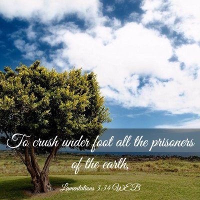 Picture 03 - Lamentations 3:34 WEB - To crush under foot all the prisoners of the - Bible Verse Picture