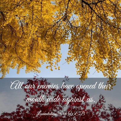 Picture 03 - Lamentations 3:46 WEB - All our enemies have opened their mouth wide - Bible Verse Picture