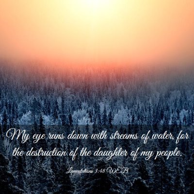 Picture 03 - Lamentations 3:48 WEB - My eye runs down with streams of water, for the - Bible Verse Picture