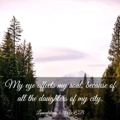 Picture 03 - Lamentations 3:51 WEB - My eye affects my soul, because of all the - Bible Verse Picture