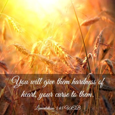 Picture 03 - Lamentations 3:65 WEB - You will give them hardness of heart, your curse - Bible Verse Picture
