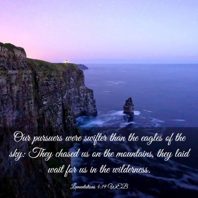 Picture 03 - Lamentations 4:19 WEB - Our pursuers were swifter than the eagles of the - Bible Verse Picture