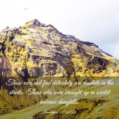 Picture 03 - Lamentations 4:5 WEB - Those who did feed delicately are desolate in the - Bible Verse Picture