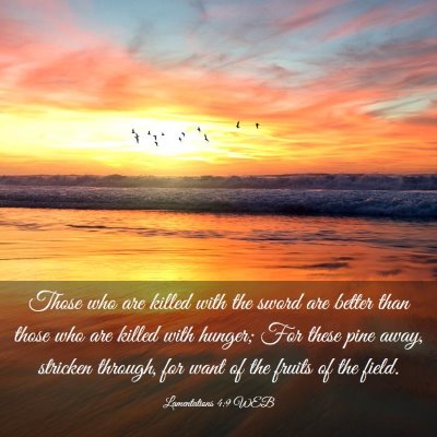 Picture 03 - Lamentations 4:9 WEB - Those who are killed with the sword are better - Bible Verse Picture